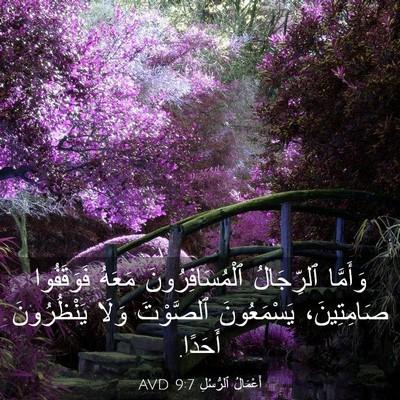 Picture 03 - أَعْمَالُ ٱلرُّسُلِ 9:7 AVD - وَأَمَّا ٱلرِّجَالُ - Bible Verse Picture