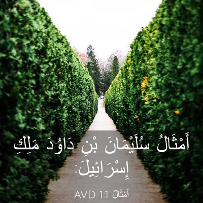 Picture 03 - أَمْثَالٌ 1:1 AVD - أَمْثَالُ سُلَيْمَانَ - Bible Verse Picture