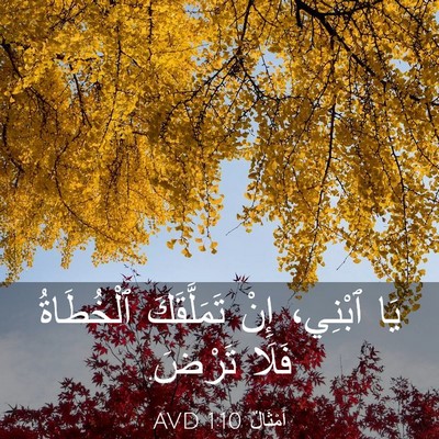 Picture 03 - أَمْثَالٌ 1:10 AVD - يَا ٱبْنِي، إِنْ - Bible Verse Picture