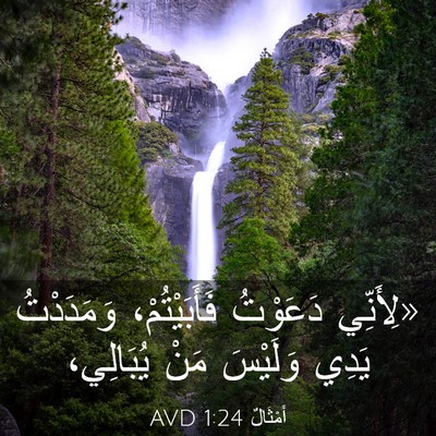Picture 03 - أَمْثَالٌ 1:24 AVD - «لِأَنِّي دَعَوْتُ - Bible Verse Picture
