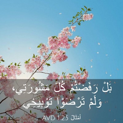 Picture 03 - أَمْثَالٌ 1:25 AVD - بَلْ رَفَضْتُمْ كُلَّ - Bible Verse Picture