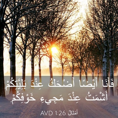 Picture 03 - أَمْثَالٌ 1:26 AVD - فَأَنَا أَيْضًا أَضْحَكُ - Bible Verse Picture