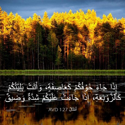 Picture 03 - أَمْثَالٌ 1:27 AVD - إِذَا جَاءَ خَوْفُكُمْ - Bible Verse Picture