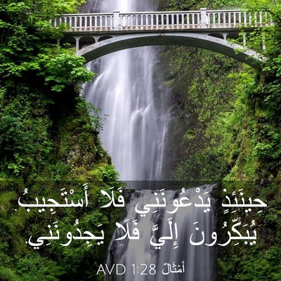 Picture 03 - أَمْثَالٌ 1:28 AVD - حِينَئِذٍ يَدْعُونَنِي - Bible Verse Picture