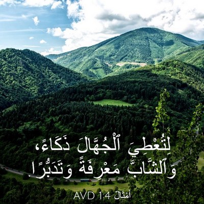 Picture 03 - أَمْثَالٌ 1:4 AVD - لِتُعْطِيَ ٱلْجُهَّالَ - Bible Verse Picture