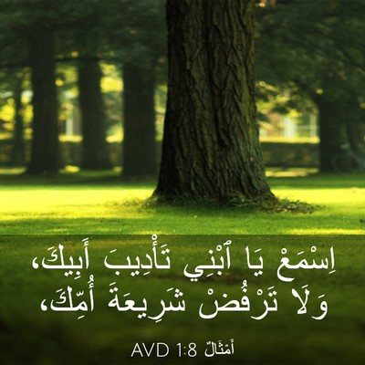 Picture 03 - أَمْثَالٌ 1:8 AVD - اِسْمَعْ يَا ٱبْنِي - Bible Verse Picture