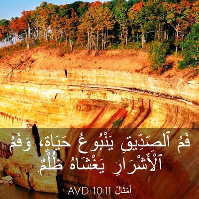 Picture 03 - أَمْثَالٌ 10:11 AVD - فَمُ ٱلصِّدِّيقِ - Bible Verse Picture