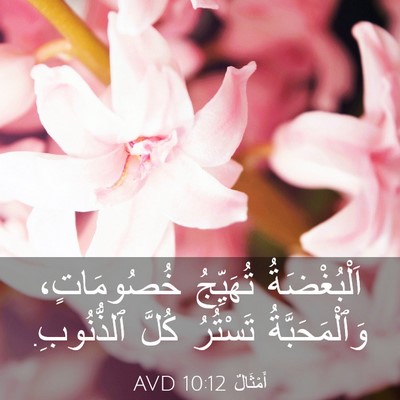 Picture 03 - أَمْثَالٌ 10:12 AVD - اَلْبُغْضَةُ تُهَيِّجُ - Bible Verse Picture