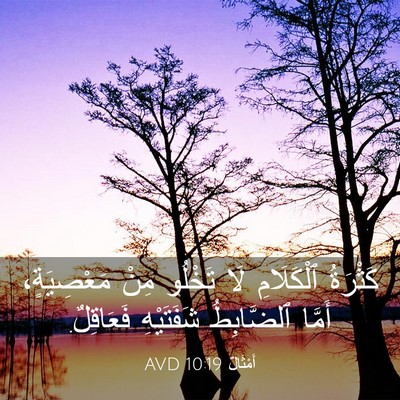 Picture 03 - أَمْثَالٌ 10:19 AVD - كَثْرَةُ ٱلْكَلَامِ لَا - Bible Verse Picture