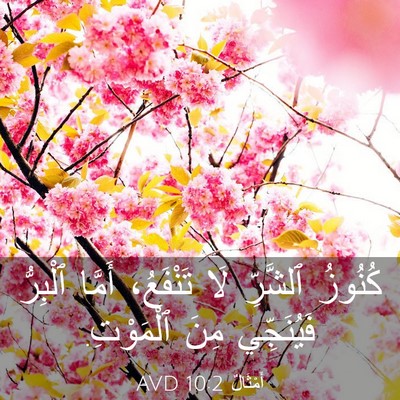 Picture 03 - أَمْثَالٌ 10:2 AVD - كُنُوزُ ٱلشَّرِّ لَا - Bible Verse Picture