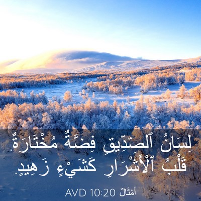 Picture 03 - أَمْثَالٌ 10:20 AVD - لِسَانُ ٱلصِّدِّيقِ - Bible Verse Picture