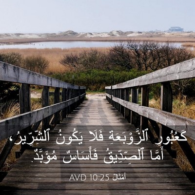 Picture 03 - أَمْثَالٌ 10:25 AVD - كَعُبُورِ ٱلزَّوْبَعَةِ - Bible Verse Picture