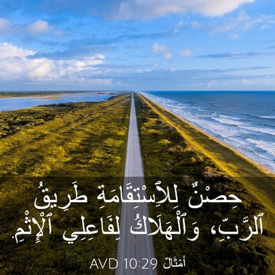 Picture 03 - أَمْثَالٌ 10:29 AVD - حِصْنٌ لِلِٱسْتِقَامَةِ - Bible Verse Picture