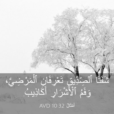 Picture 03 - أَمْثَالٌ 10:32 AVD - شَفَتَا ٱلصِّدِّيقِ - Bible Verse Picture