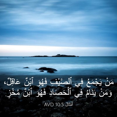 Picture 03 - أَمْثَالٌ 10:5 AVD - مَنْ يَجْمَعُ فِي - Bible Verse Picture
