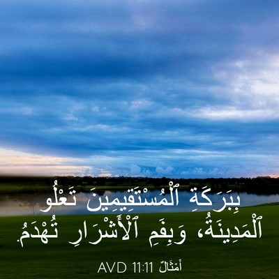 Picture 03 - أَمْثَالٌ 11:11 AVD - بِبَرَكَةِ - Bible Verse Picture