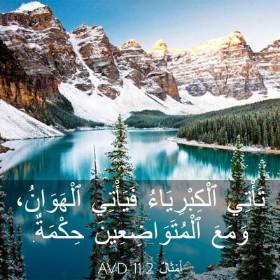Picture 03 - أَمْثَالٌ 11:2 AVD - تَأْتِي ٱلْكِبْرِيَاءُ - Bible Verse Picture