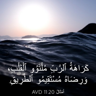 Picture 03 - أَمْثَالٌ 11:20 AVD - كَرَاهَةُ ٱلرَّبِّ - Bible Verse Picture