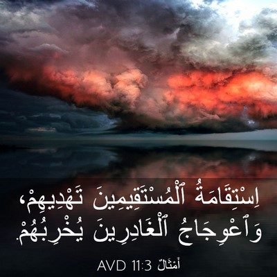 Picture 03 - أَمْثَالٌ 11:3 AVD - اِسْتِقَامَةُ - Bible Verse Picture