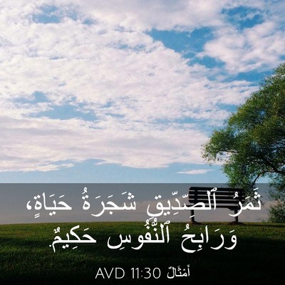 Picture 03 - أَمْثَالٌ 11:30 AVD - ثَمَرُ ٱلصِّدِّيقِ - Bible Verse Picture