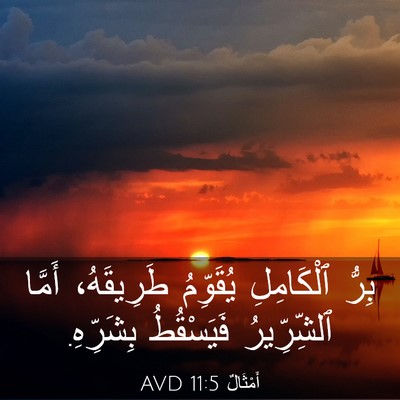 Picture 03 - أَمْثَالٌ 11:5 AVD - بِرُّ ٱلْكَامِلِ - Bible Verse Picture