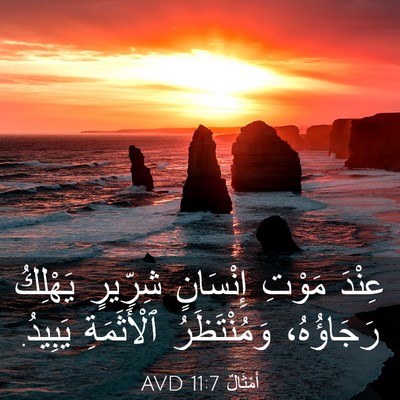 Picture 03 - أَمْثَالٌ 11:7 AVD - عِنْدَ مَوْتِ إِنْسَانٍ - Bible Verse Picture