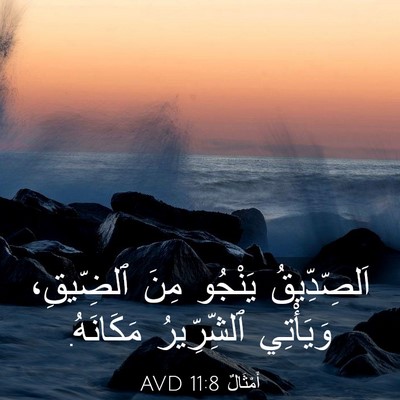 Picture 03 - أَمْثَالٌ 11:8 AVD - اَلصِّدِّيقُ يَنْجُو مِنَ - Bible Verse Picture