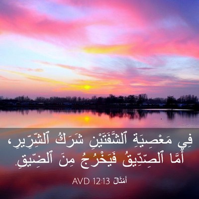 Picture 03 - أَمْثَالٌ 12:13 AVD - فِي مَعْصِيَةِ - Bible Verse Picture