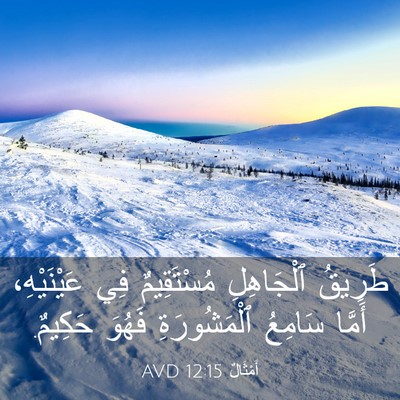 Picture 03 - أَمْثَالٌ 12:15 AVD - طَرِيقُ ٱلْجَاهِلِ - Bible Verse Picture