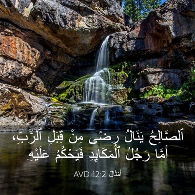 Picture 03 - أَمْثَالٌ 12:2 AVD - ٱلصَّالِحُ يَنَالُ رِضًى - Bible Verse Picture