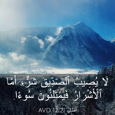Picture 03 - أَمْثَالٌ 12:21 AVD - لَا يُصِيبُ ٱلصِّدِّيقَ - Bible Verse Picture
