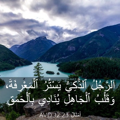Picture 03 - أَمْثَالٌ 12:23 AVD - اَلرَّجُلُ ٱلذَّكِيُّ - Bible Verse Picture