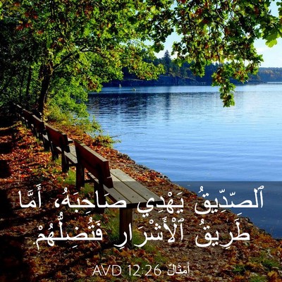 Picture 03 - أَمْثَالٌ 12:26 AVD - ٱلصِّدِّيقُ يَهْدِي - Bible Verse Picture