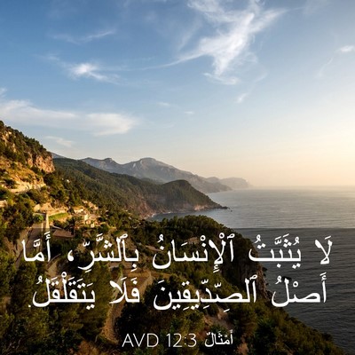 Picture 03 - أَمْثَالٌ 12:3 AVD - لَا يُثَبَّتُ - Bible Verse Picture