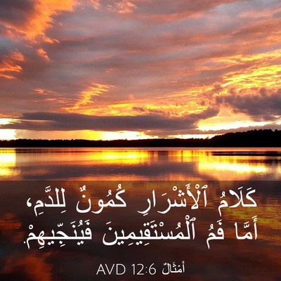 Picture 03 - أَمْثَالٌ 12:6 AVD - كَلَامُ ٱلْأَشْرَارِ - Bible Verse Picture