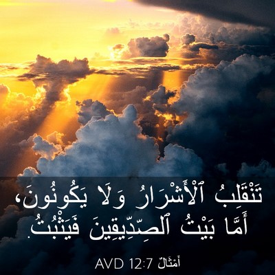 Picture 03 - أَمْثَالٌ 12:7 AVD - تَنْقَلِبُ ٱلْأَشْرَارُ - Bible Verse Picture