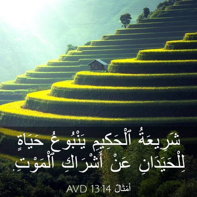 Picture 03 - أَمْثَالٌ 13:14 AVD - شَرِيعَةُ ٱلْحَكِيمِ - Bible Verse Picture