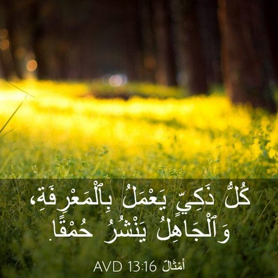 Picture 03 - أَمْثَالٌ 13:16 AVD - كُلُّ ذَكِيٍّ يَعْمَلُ - Bible Verse Picture
