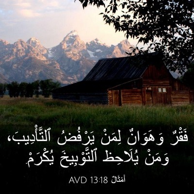 Picture 03 - أَمْثَالٌ 13:18 AVD - فَقْرٌ وَهَوَانٌ لِمَنْ - Bible Verse Picture
