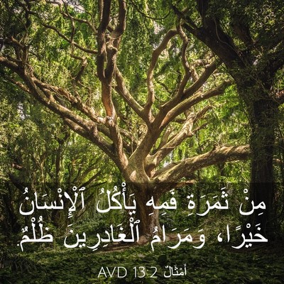 Picture 03 - أَمْثَالٌ 13:2 AVD - مِنْ ثَمَرَةِ فَمِهِ - Bible Verse Picture