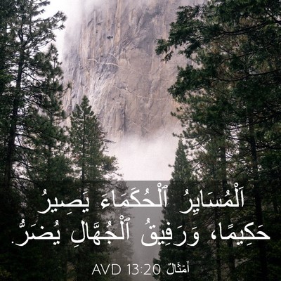 Picture 03 - أَمْثَالٌ 13:20 AVD - اَلْمُسَايِرُ - Bible Verse Picture