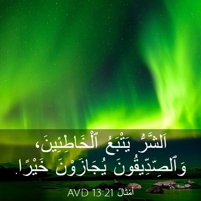 Picture 03 - أَمْثَالٌ 13:21 AVD - اَلشَّرُّ يَتْبَعُ - Bible Verse Picture