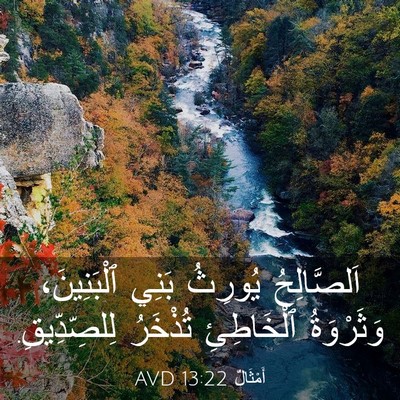 Picture 03 - أَمْثَالٌ 13:22 AVD - اَلصَّالِحُ يُورِثُ بَنِي - Bible Verse Picture