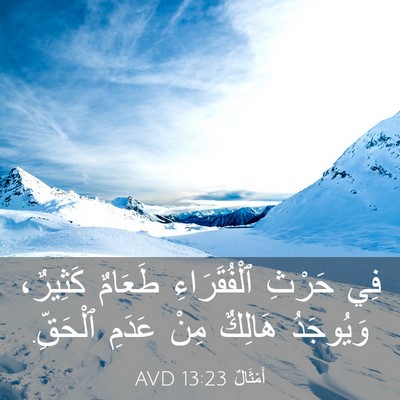 Picture 03 - أَمْثَالٌ 13:23 AVD - فِي حَرْثِ ٱلْفُقَرَاءِ - Bible Verse Picture