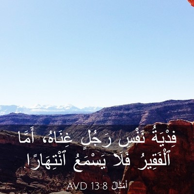 Picture 03 - أَمْثَالٌ 13:8 AVD - فِدْيَةُ نَفْسِ رَجُلٍ - Bible Verse Picture