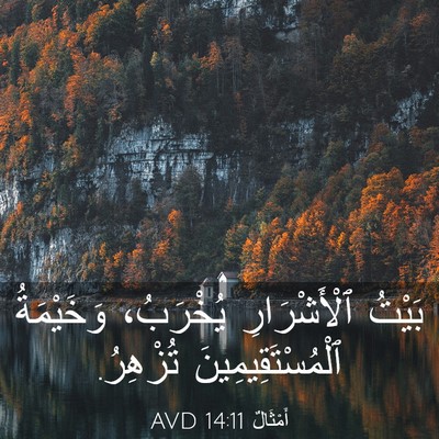 Picture 03 - أَمْثَالٌ 14:11 AVD - بَيْتُ ٱلْأَشْرَارِ - Bible Verse Picture