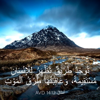 Picture 03 - أَمْثَالٌ 14:12 AVD - تُوجَدُ طَرِيقٌ تَظْهَرُ - Bible Verse Picture