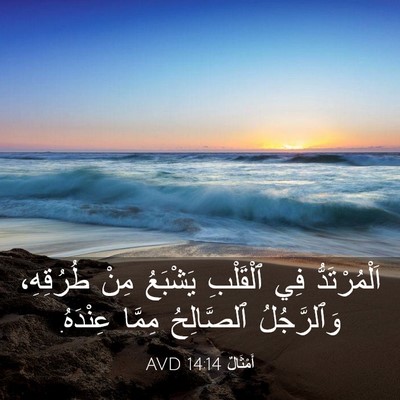 Picture 03 - أَمْثَالٌ 14:14 AVD - اَلْمُرْتَدُّ فِي - Bible Verse Picture