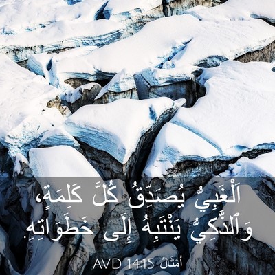 Picture 03 - أَمْثَالٌ 14:15 AVD - اَلْغَبِيُّ يُصَدِّقُ - Bible Verse Picture