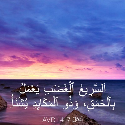 Picture 03 - أَمْثَالٌ 14:17 AVD - اَلسَّرِيعُ ٱلْغَضَبِ - Bible Verse Picture